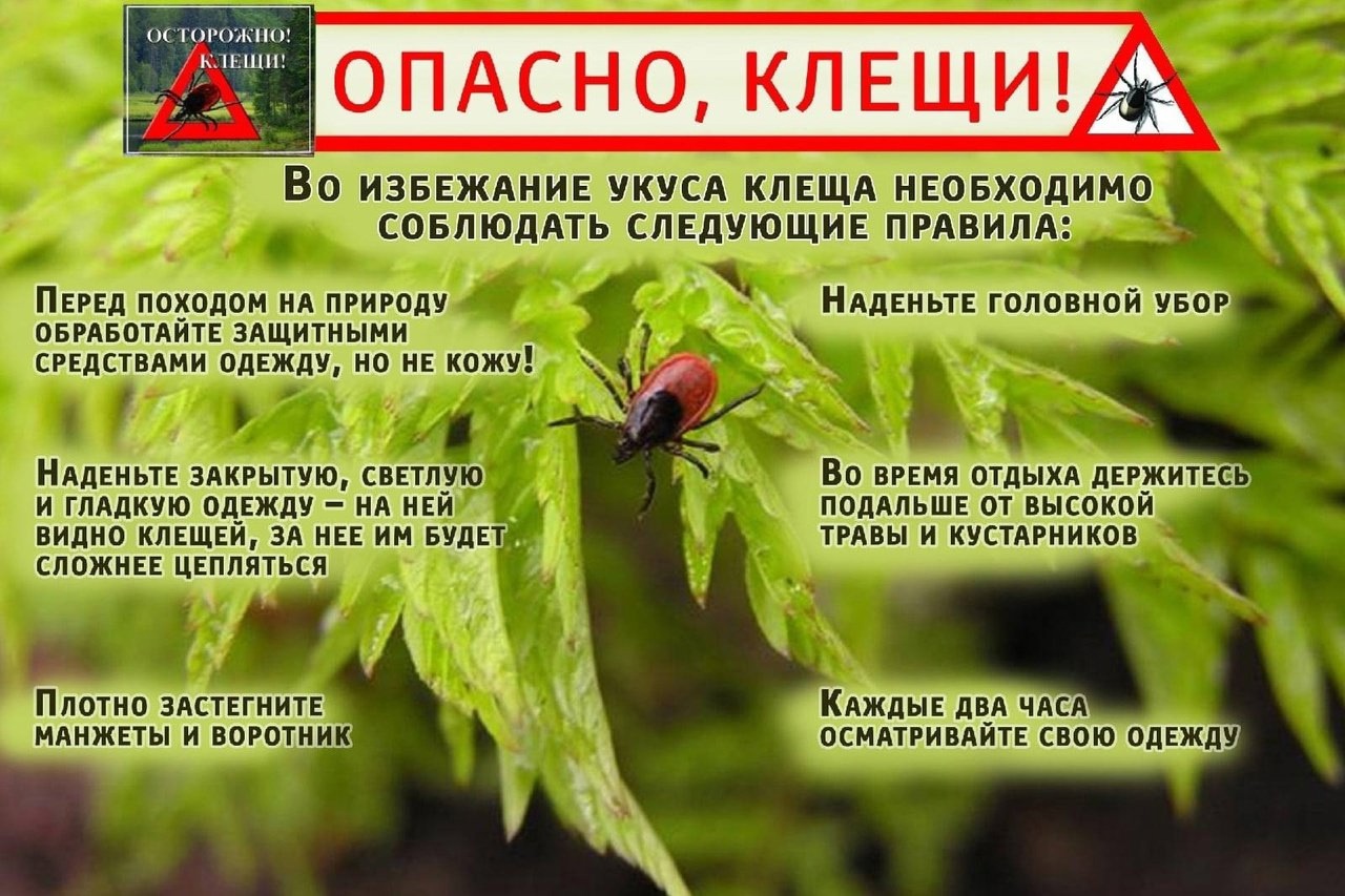 Памятка о клещах.