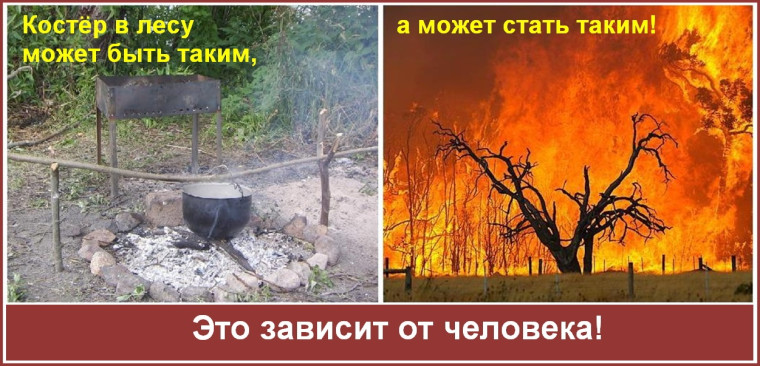 ПОЖАРНАЯ БЕЗОПАСНОСТЬ В ЛЕСУ. ПОЖАРНАЯ БЕЗОПАСНОСТЬ В ЛЕСУ.
